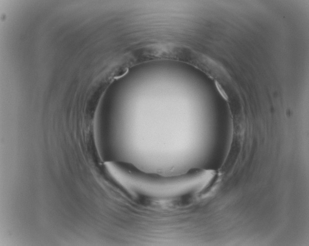 X0000065240607200602242026