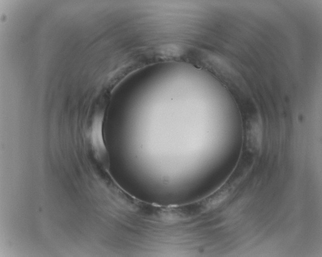 X0000065240608200602242026