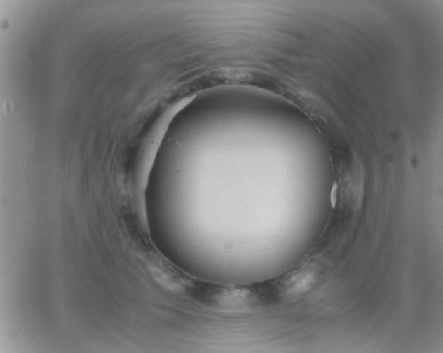 X0000065240609200602242026