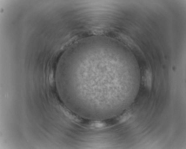 X0000065240610200602242026