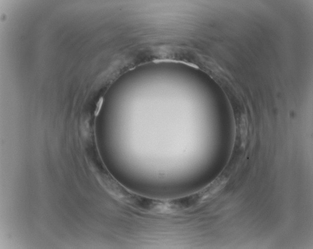 X0000065240611200602242026