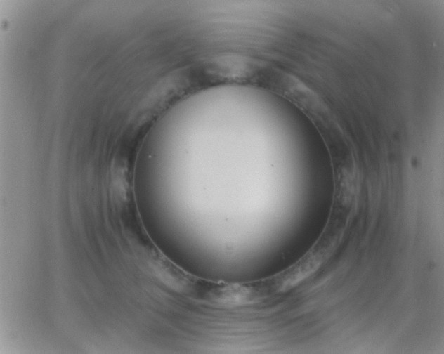 X0000065240612200602242026