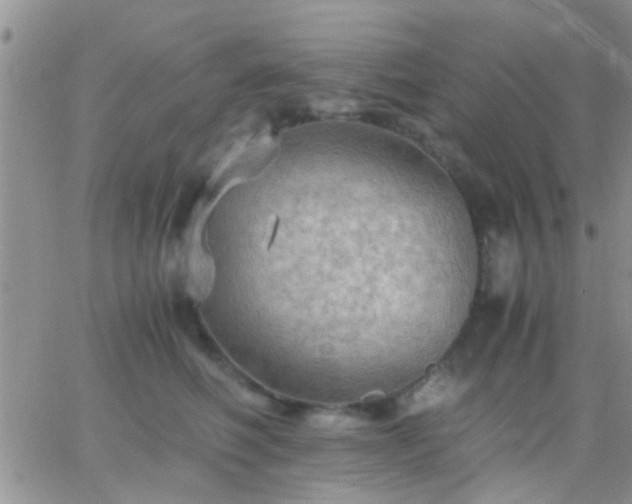 X0000065240614200602242026