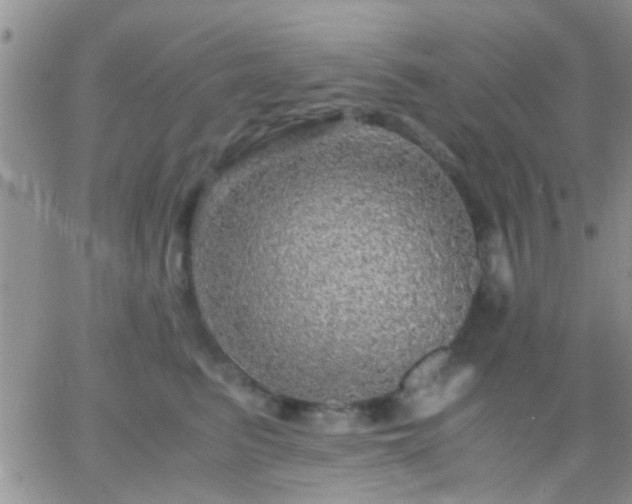 X0000065240615200602242026