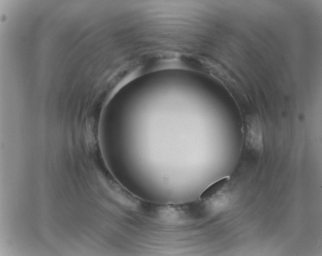 X0000065240616200602242026