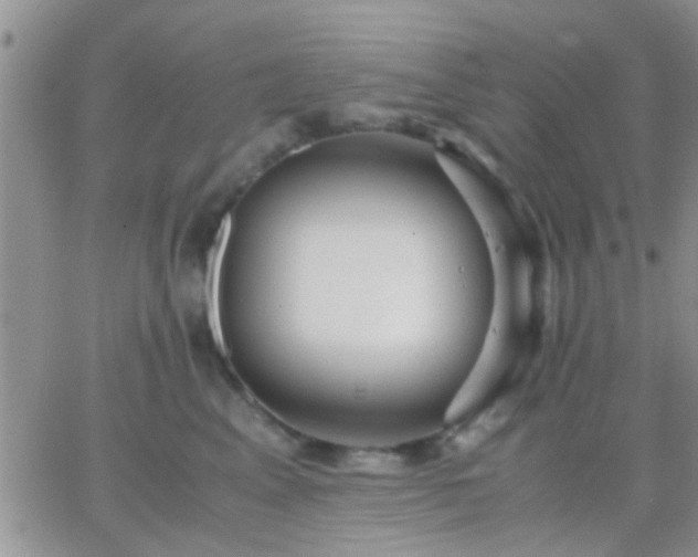 X0000065240617200602242026