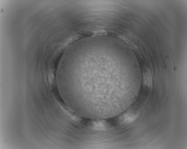 X0000065240618200602242026