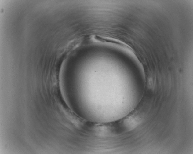 X0000065240620200602242026