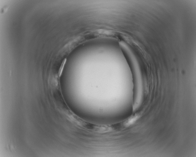 X0000065240621200602242026