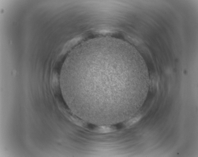 X0000065240623200602242026