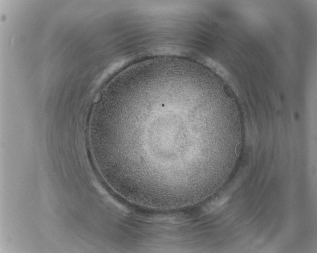 X0000065240625200602242025