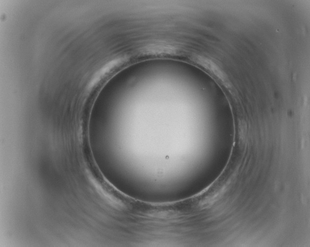 X0000065240629200602242025