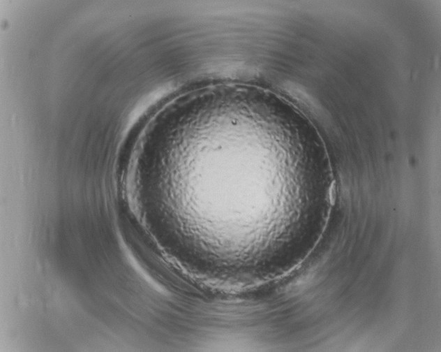 X0000065240630200602242025