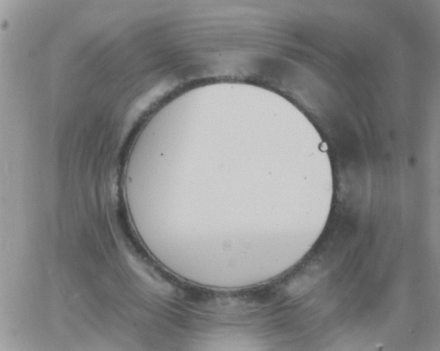 X0000065240632200602242025