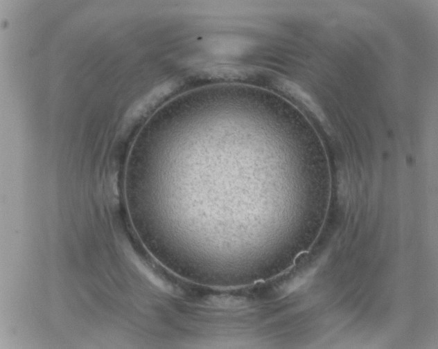 X0000065240633200602242025