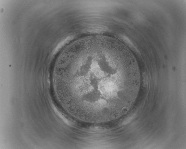 X0000065240634200602242025