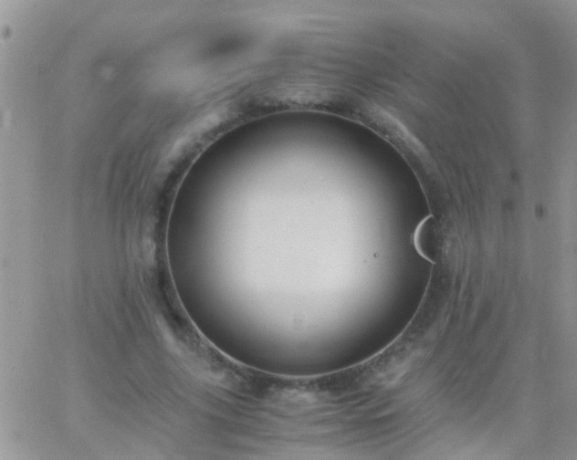 X0000065240635200602242025