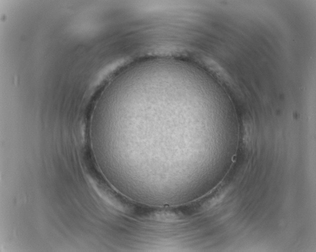 X0000065240636200602242025