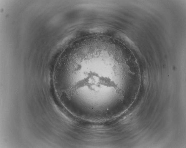 X0000065240637200602242025