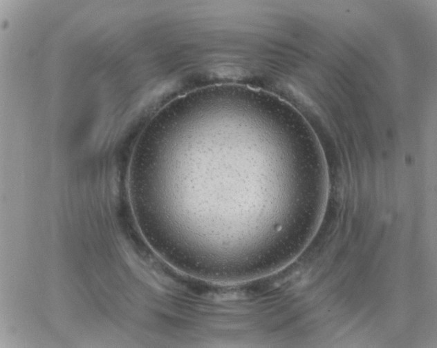 X0000065240639200602242025