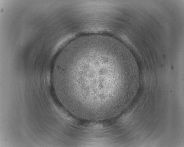 X0000065240640200602242025