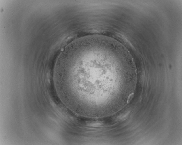 X0000065240643200602242025