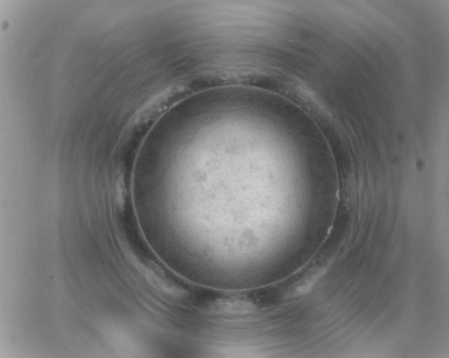 X0000065240644200602242026