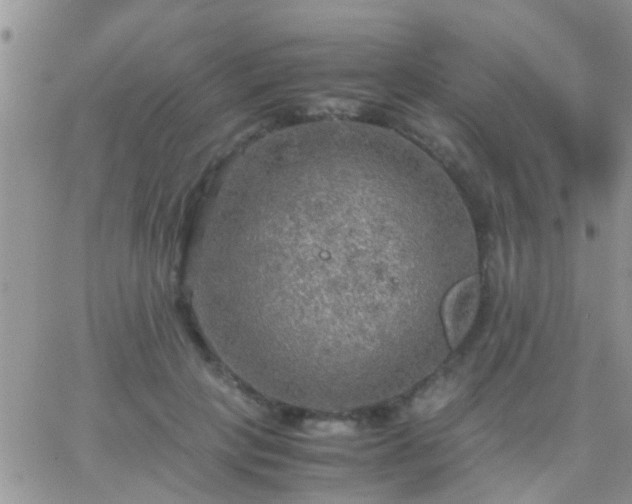 X0000065240649200602242026