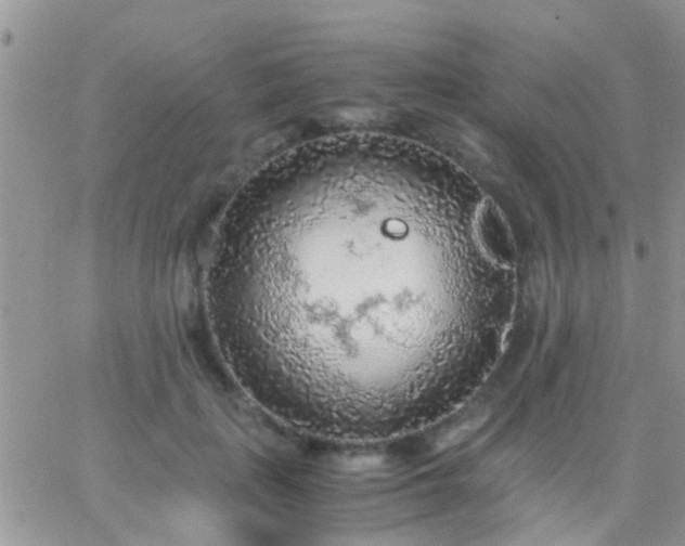 X0000065240651200602242026