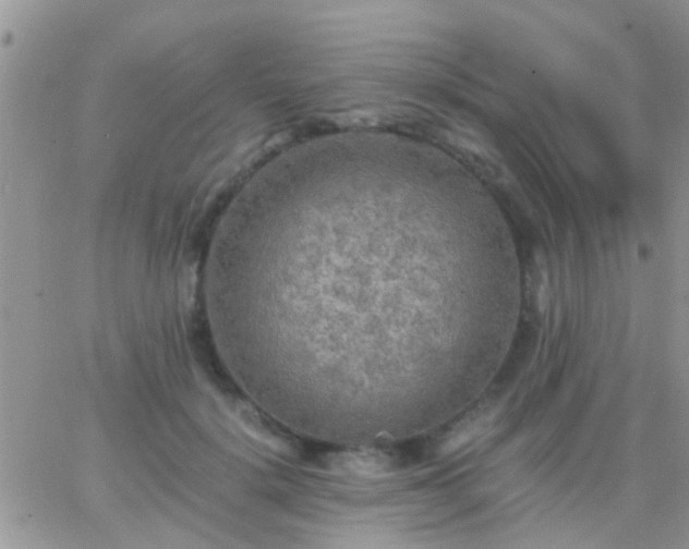 X0000065240652200602242026