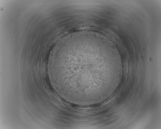 X0000065240653200602242026