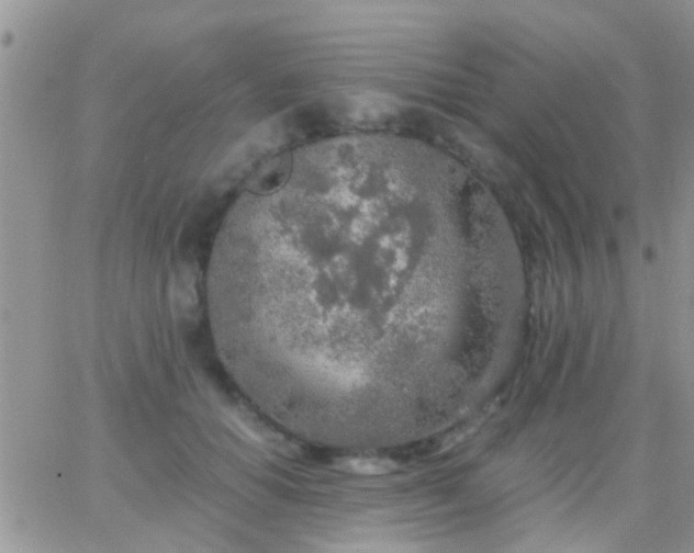 X0000065240654200602242026