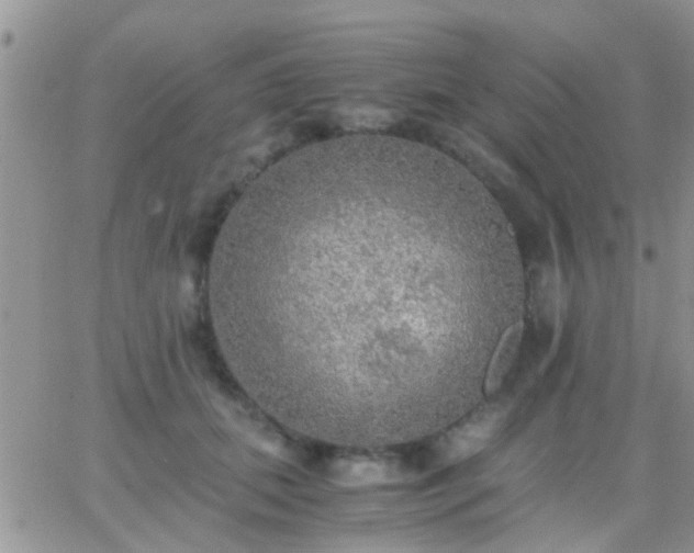 X0000065240655200602242026