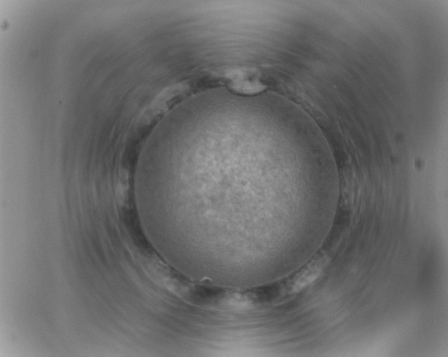 X0000065240656200602242026