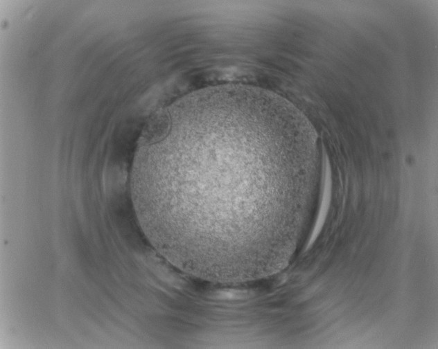 X0000065240657200602242026