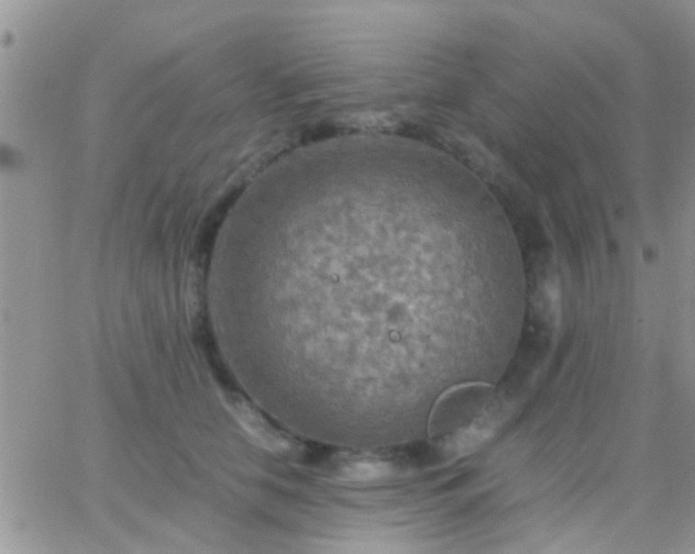 X0000065240658200602242026