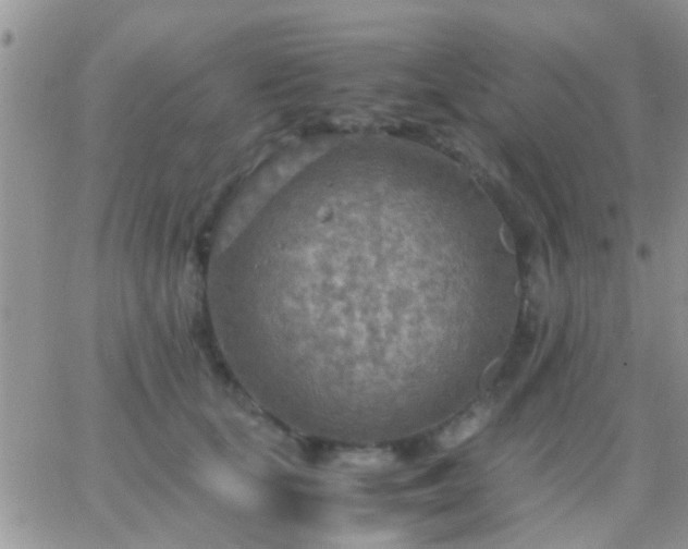 X0000065240659200602242026