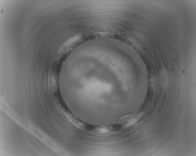 X0000065240662200602242026