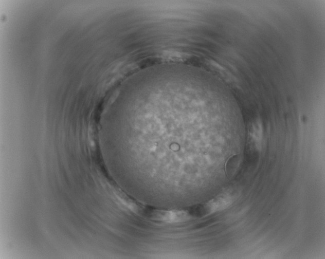 X0000065240663200602242026