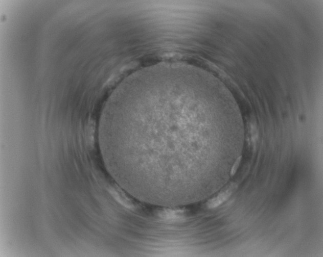 X0000065240664200602242026