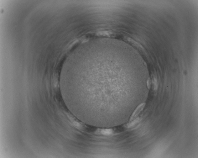 X0000065240665200602242026