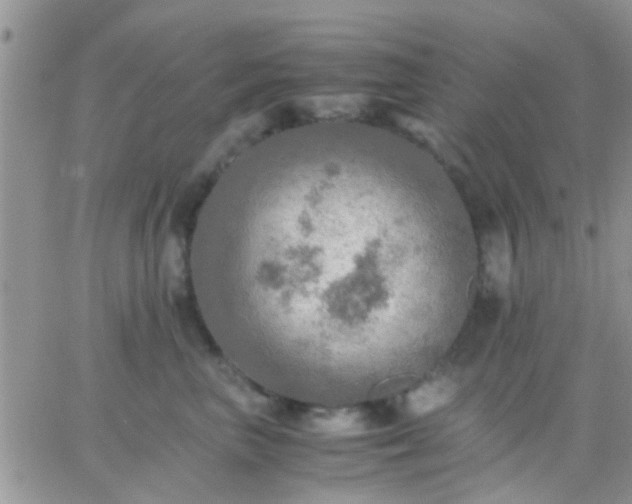 X0000065240667200602242026