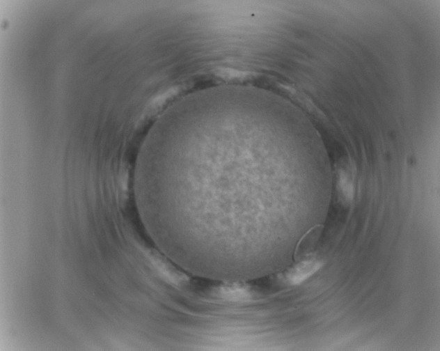 X0000065240668200602242026