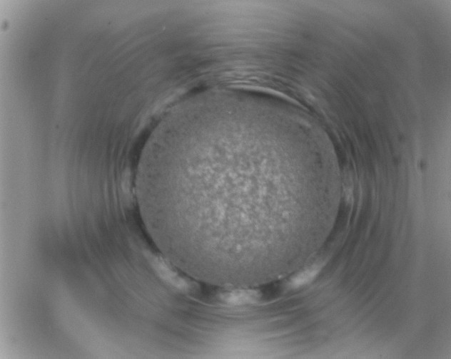 X0000065240670200602242026