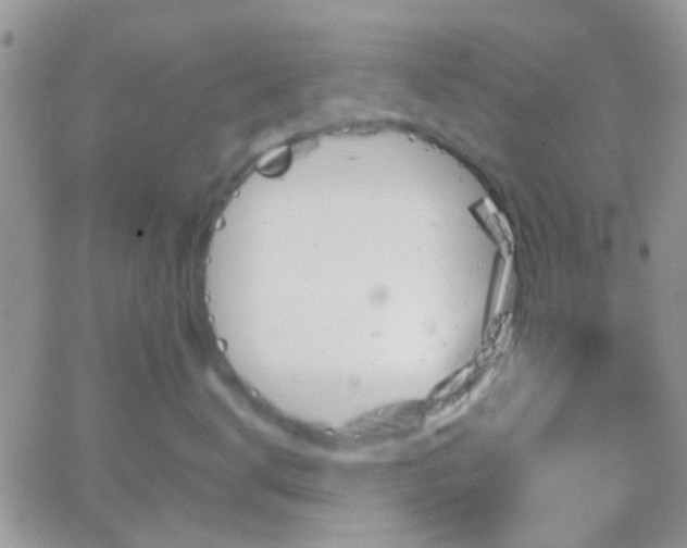 X0000065240672200602242026