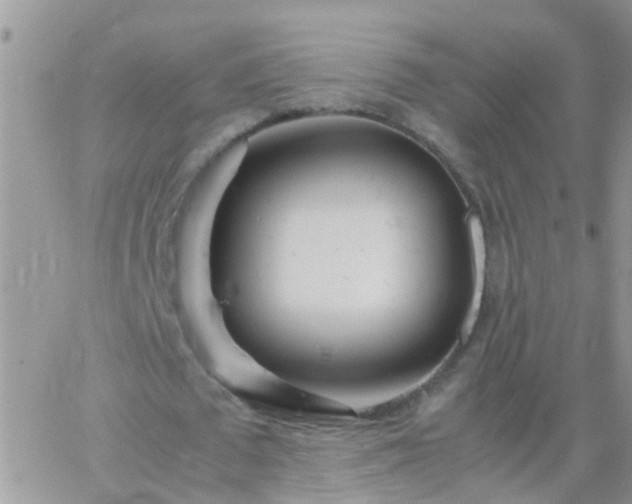 X0000065240673200602242025