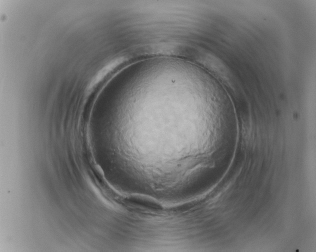 X0000065240674200602242025