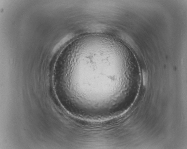 X0000065240675200602242025