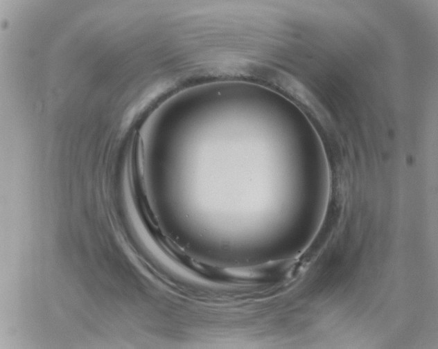 X0000065240677200602242025