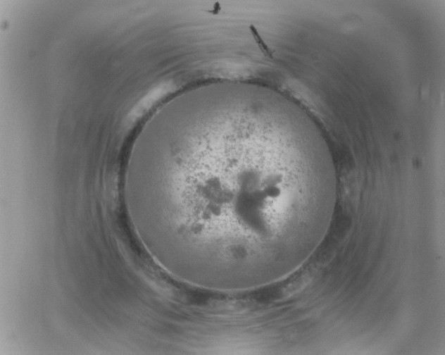 X0000065240679200602242025